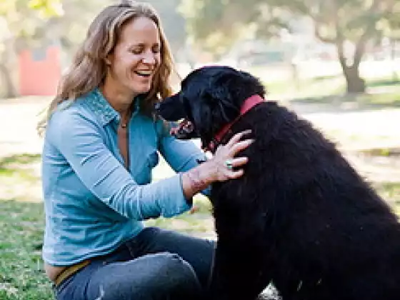 Laura Stinchfield - 靈性, 其他, 動物意識 