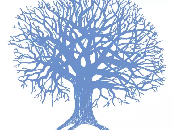 The Center  For Love and Light - Spirituality 