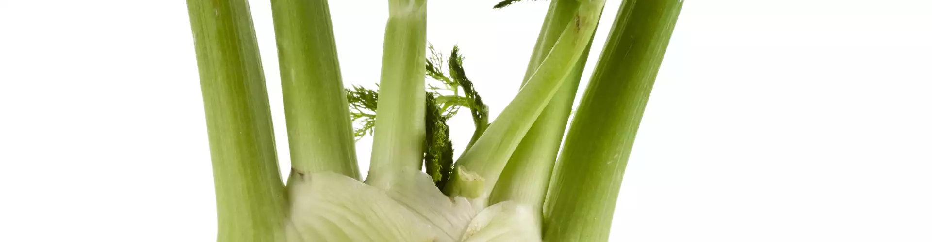 Taming the Fire of Pain and Inflammation through the Food You Choose - Online Class by Amanda Archibald