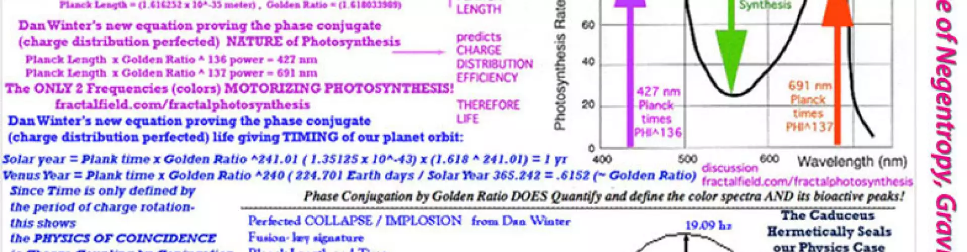 Fractal Field Physics