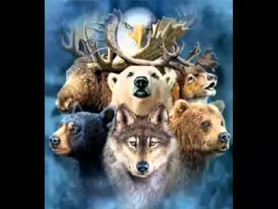 Journey to Meet Your Power Animal