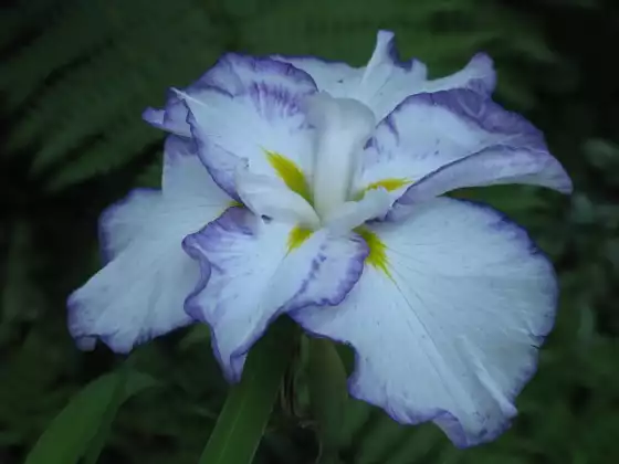 Deepen your Connection to Spirit