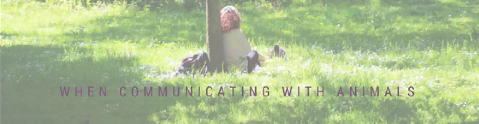 Self Care When Communicating With Animals - Online Class by Janet Roper