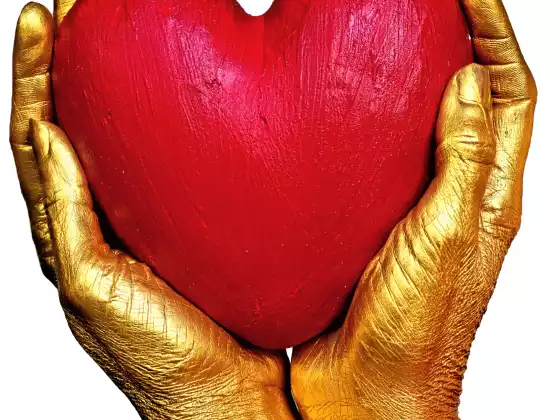 Activate your Higher Heart to Live as your Authentic Self!