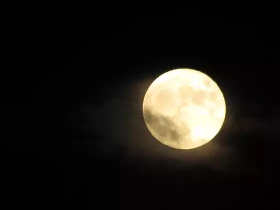  Lunar Phases II: Opportunities for Growth