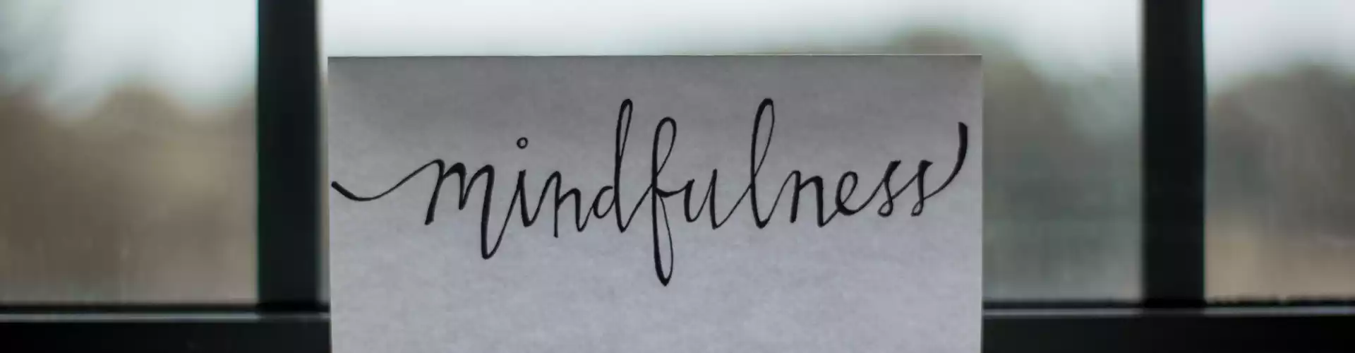 Intro To Mindfulness - Online Class by Mary Haberski