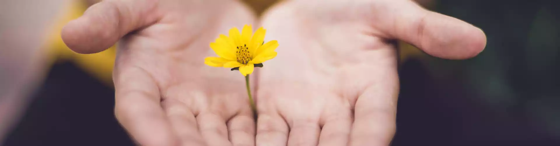 Reiki Level 2 Q&A - Online Class by Jamie Butler