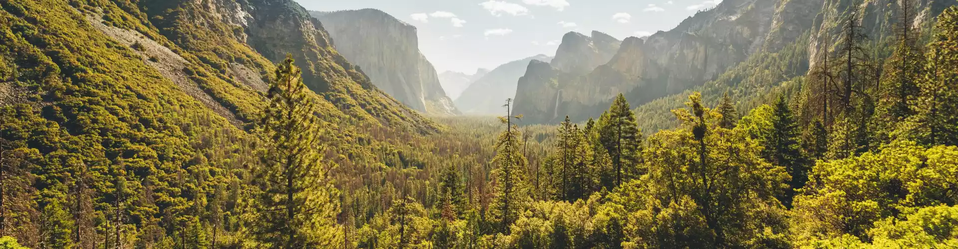 Sanación de energía de tierra y liberación