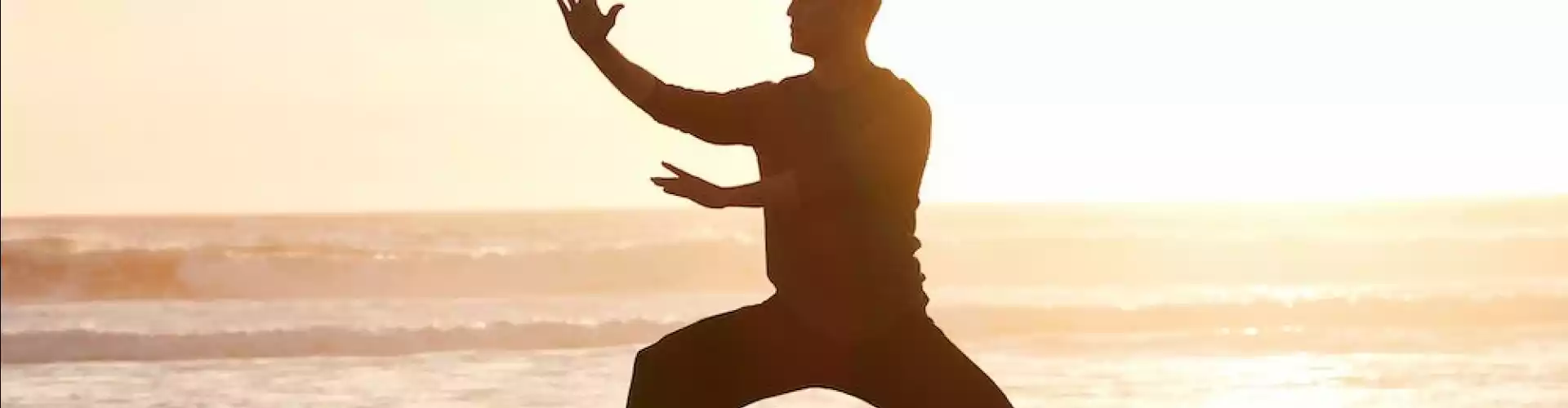 Qigong com os 8 Brocados - Online Class by Cassaundra Paolini