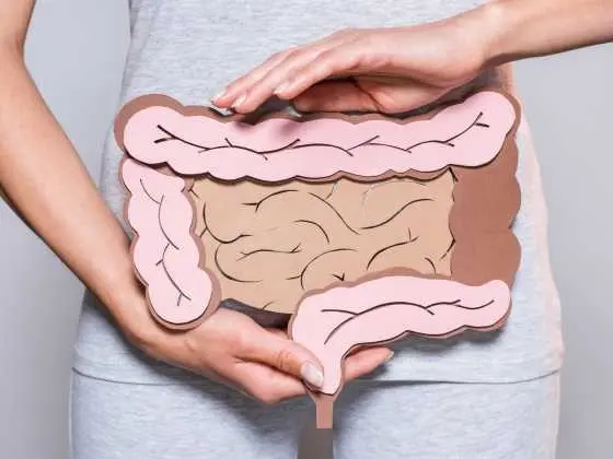 Santé intestinale